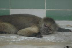 Shanghai Zoo
