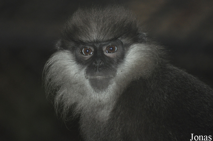 Xiangjiang Safari Park Guangzhou