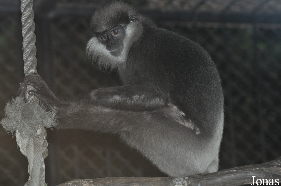 Xiangjiang Safari Park Guangzhou