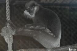 Xiangjiang Safari Park Guangzhou