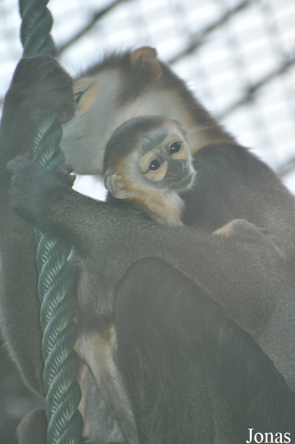 Xiangjiang Safari Park Guangzhou