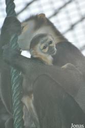 Xiangjiang Safari Park Guangzhou