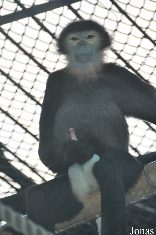 Xiangjiang Safari Park Guangzhou