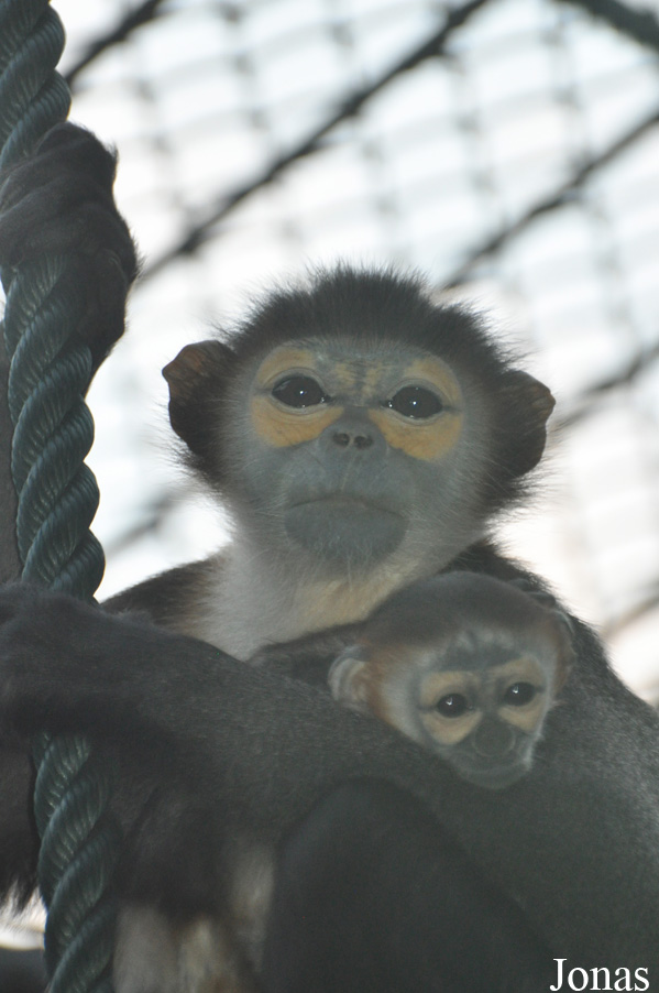 Xiangjiang Safari Park Guangzhou
