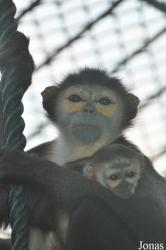 Xiangjiang Safari Park Guangzhou