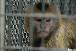 Shanghai Zoo