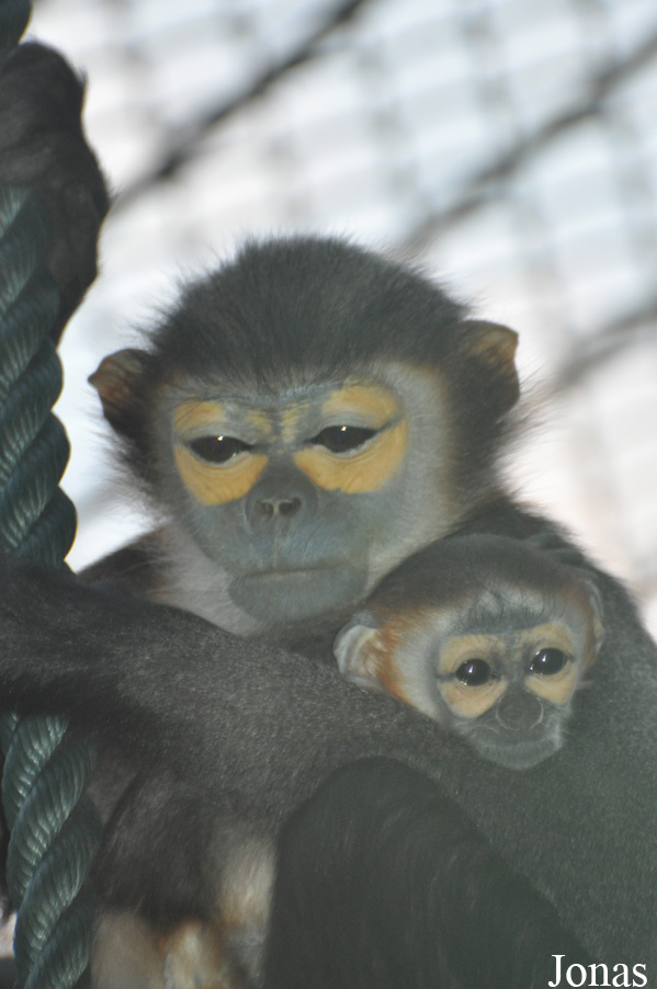 Xiangjiang Safari Park Guangzhou