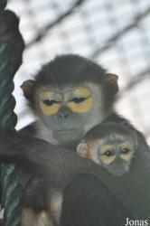Xiangjiang Safari Park Guangzhou