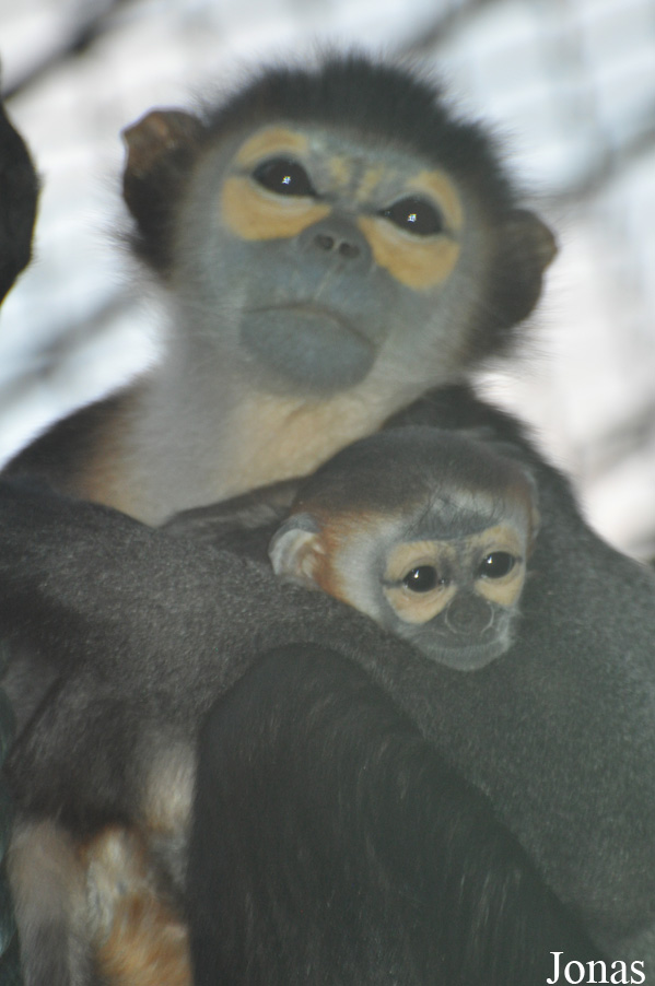 Xiangjiang Safari Park Guangzhou