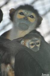 Xiangjiang Safari Park Guangzhou