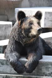 Guangzhou Zoo