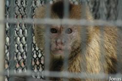 Shanghai Zoo