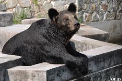 Guangzhou Zoo