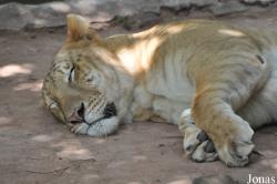 Guangzhou Zoo