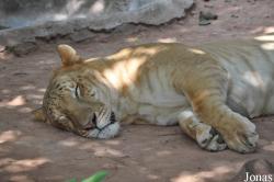 Guangzhou Zoo