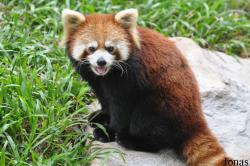 Guangzhou Zoo