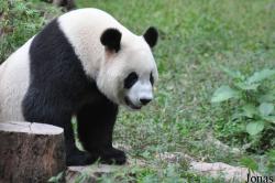 Guangzhou Zoo