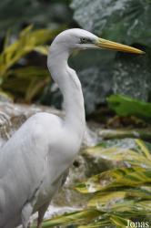 Guangzhou Zoo