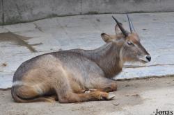 Guangzhou Zoo