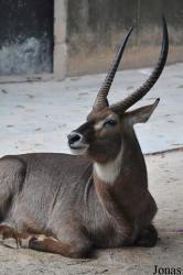 Guangzhou Zoo