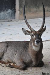 Guangzhou Zoo