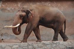 Guangzhou Zoo