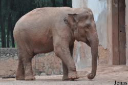 Guangzhou Zoo