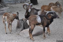 Guangzhou Zoo