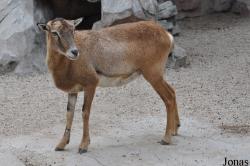 Guangzhou Zoo