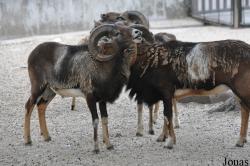 Guangzhou Zoo