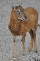 Guangzhou Zoo