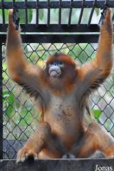 Guangzhou Zoo