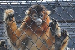 Guangzhou Zoo
