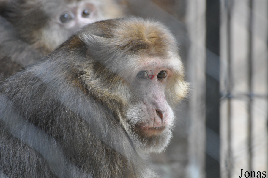 Guangzhou Zoo
