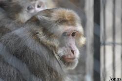 Guangzhou Zoo