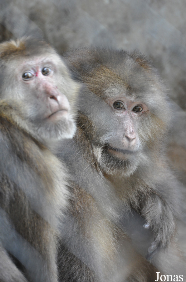 Guangzhou Zoo