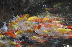 Guangzhou Zoo