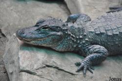 Guangzhou Zoo