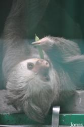 Hong Kong Zoological and Botanical Gardens