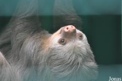 Hong Kong Zoological and Botanical Gardens