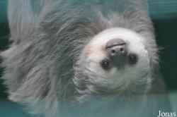 Hong Kong Zoological and Botanical Gardens