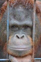 Teuk Chhou Zoo