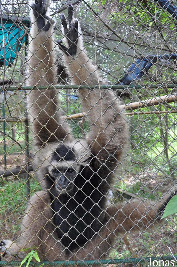 Teuk Chhou Zoo