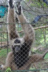 Teuk Chhou Zoo