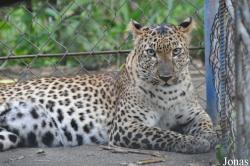 Teuk Chhou Zoo