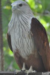 Teuk Chhou Zoo