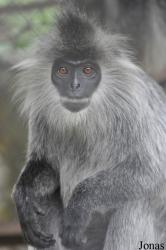 Phnom Tamao Zoo and Wildlife Rescue Center (PTWRC)