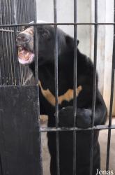Phnom Tamao Zoo and Wildlife Rescue Center (PTWRC)
