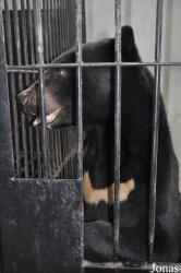 Phnom Tamao Zoo and Wildlife Rescue Center (PTWRC)