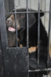 Phnom Tamao Zoo and Wildlife Rescue Center (PTWRC)
